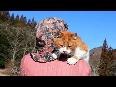 ぽんの肩乗り散歩　260410 サムネイル