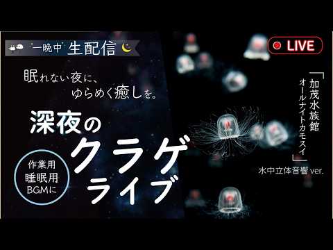 深夜のクラゲライブ｜オールナイトカモスイ　ベニクラゲ (水中立体音響ver)