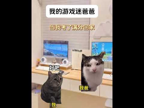 当我爸是个游戏迷时有趣 猫meme 猫meme剧场 猫meme小剧场 内容过于真实  故事 貓 猫猫meme小剧场 喵…