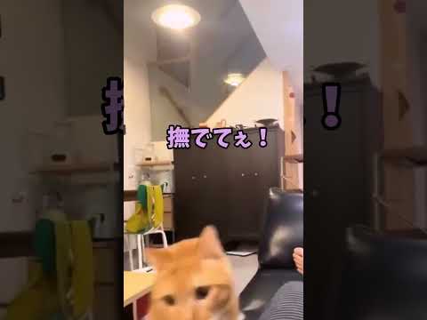 ね、この可愛さ、分けて？🙏