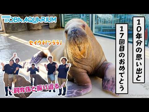 《鳥羽水族館》入館から10年。ツララ、17歳になりました サムネイル