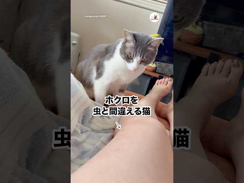 それ、虫ちゃう😂｜PECO