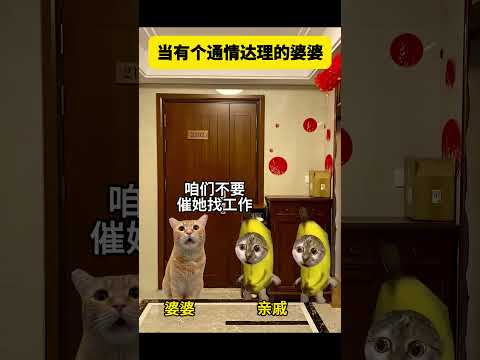 当有个通情达理的婆婆 有趣 猫meme 猫meme剧场 猫meme小剧场 内容过于真实 故事 貓 猫猫meme小剧场…
