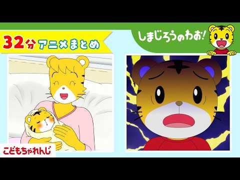 【32分アニメ】お誕生日うれしいな！「ぼくの　うまれた　ひ」ほか│誕生日│おもいやり│しまじろうのわお！アニメ│しまじ… サムネイル