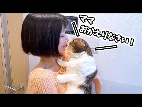 留守中ママの帰宅を玄関で待ち続けた猫が帰宅した途端に喜びを爆発させましたw