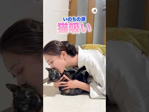 お留守番してた猫さん｜PECO サムネイル