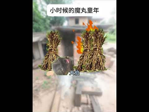 小时候总是整大伯的我有趣 猫meme 猫meme剧场 猫meme小剧场 内容过于真实  故事 貓 猫猫meme小剧场… サムネイル