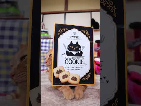 山猫軒プリントクッキー　260302　のせ猫　 cat　 cute　 ねこ　 ネコ　 猫のいる暮らし　 猫　 cute… サムネイル