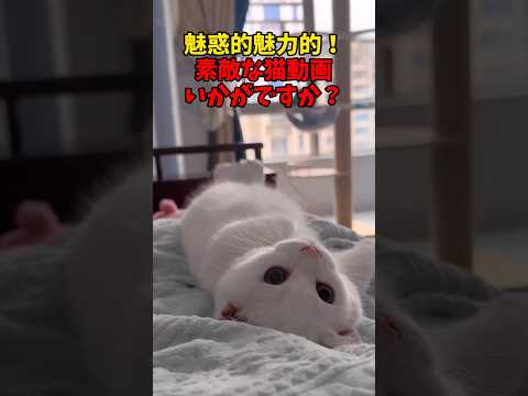 目がはなせません♥🔥