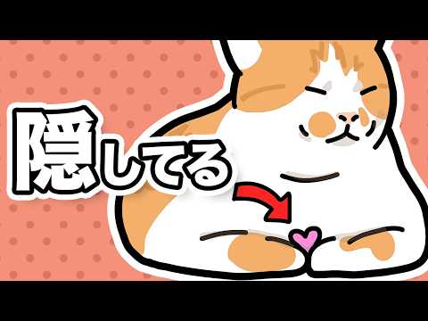 猫の飼い主なら泣ける｜猫のうた『隠してる』｜MV サムネイル