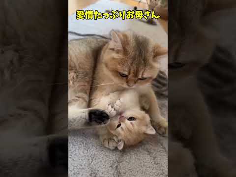 無理!むり!🥺