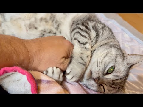 悪い顔で抱きしめる猫あいちゃん。 サムネイル
