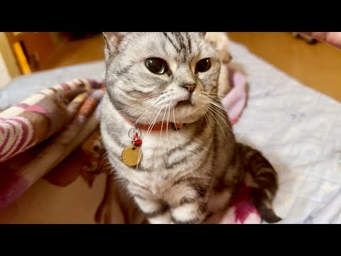 私のお腹から落とされたあいちゃんが... サムネイル