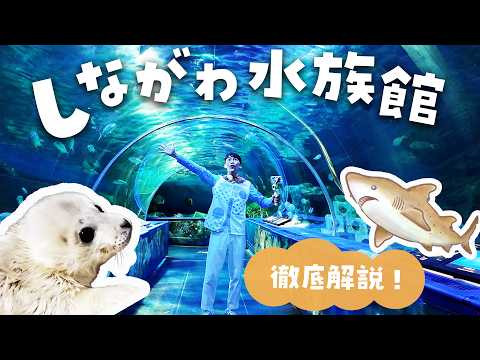 行く前に見て！しながわ水族館が100倍楽しくなる徹底解説ツアー サムネイル