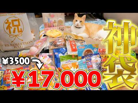 【神袋】なぜか正月の福袋を超える最高の”猫用福袋”が売られていたので買ってみたら…。中身がやば過ぎました。 サムネイル