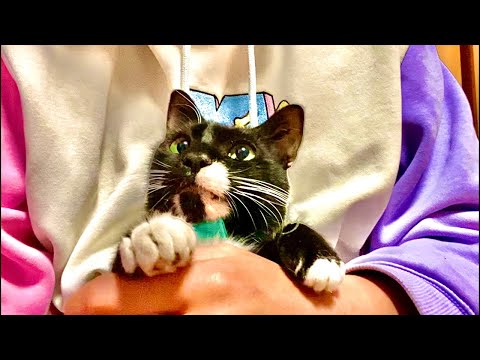３ヶ月間ありがとうございました　thank you! サムネイル