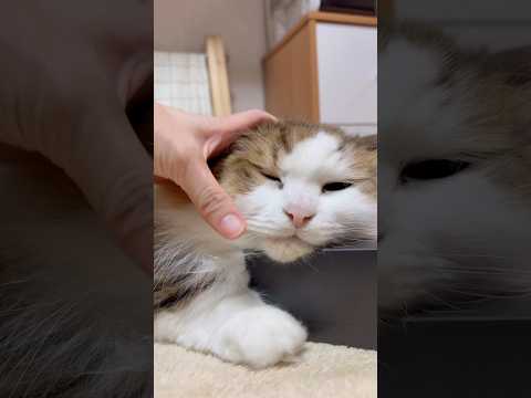 取らせてあげる サムネイル