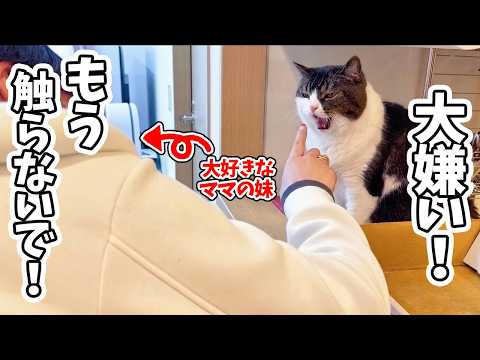 あることがきっかけで妹が息子猫に嫌われて触らせてくれなくなりました…涙 サムネイル