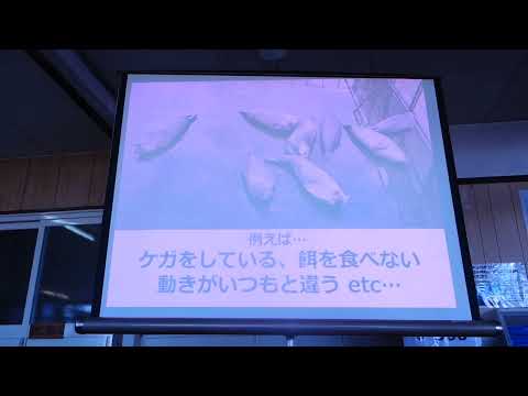 アザラシ強化月間　アザ塾実技編　ゼニガタアザラシの見分け方（座学） サムネイル