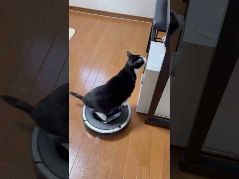 そこに何があるの？ サムネイル