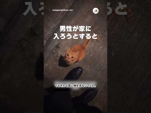 猫に選ばれた男｜PECO サムネイル