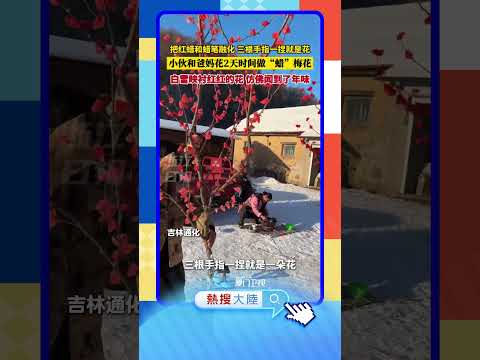 【大陸】喜氣洋洋！吉林民眾手作「蠟」梅花