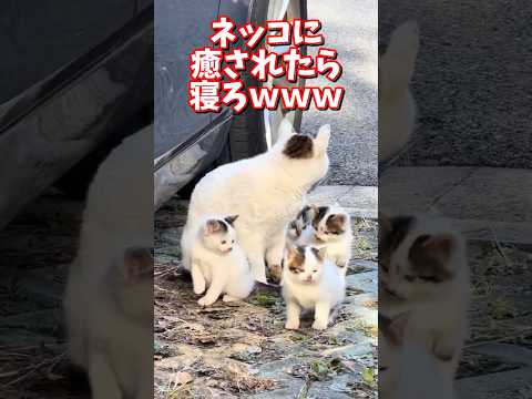 2026年2月23日 サムネイル