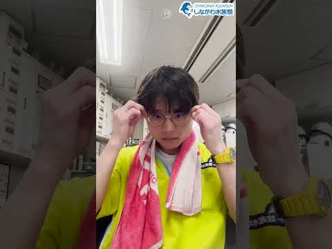 水族館飼育員のゆるゆるVlog⑤＠しながわ水族館【魚類】 サムネイル