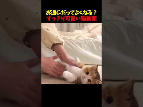 すっきり〜☺ サムネイル