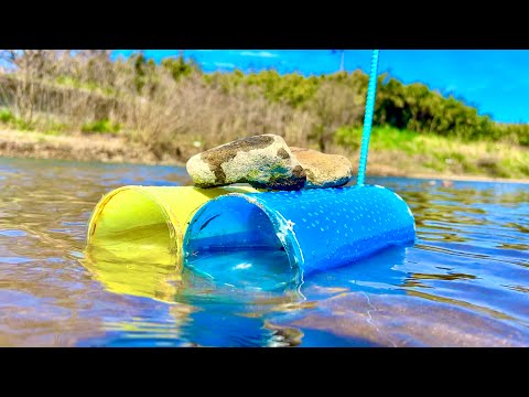 ペットボトル罠を河口に仕掛けたらまさかの生物が。。 サムネイル