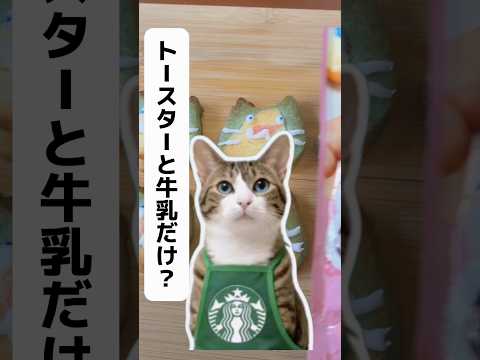 本音で言えばホワイトデーのお返し何がいい？ cats shorts 球太 サムネイル