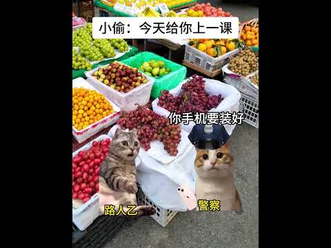 小偷：今天给你上一课 有趣 猫meme 猫meme剧场 猫meme小剧场 内容过于真实  故事 貓 猫猫meme小剧场…
