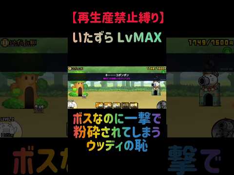 【再生産禁止縛り】にゃんまがいればいたずら LvMAXを出撃２体のみで速攻攻略出来る説 にゃんこ大戦争 サムネイル