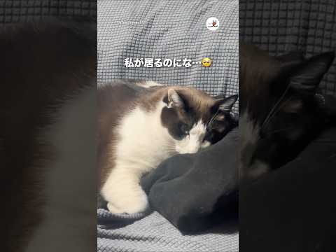 私が居るのにな..🥺｜PECO サムネイル