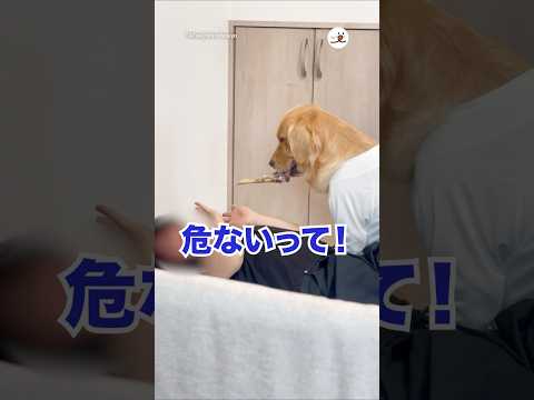 鹿の骨で脅されるパパ｜PECO サムネイル