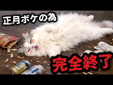 猫が正月ボケしてしまいました サムネイル