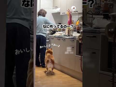 何作ってんの〜？｜PECO サムネイル