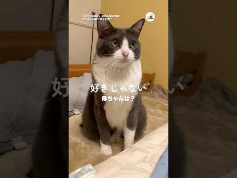 好きって言わせたい父ちゃん｜PECO サムネイル