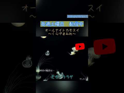 オールナイトカモスイ　～くらげまみれ～ 248　ビゼンクラゲ