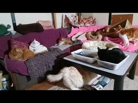 うずまきの上に箱が落ちてくる サムネイル