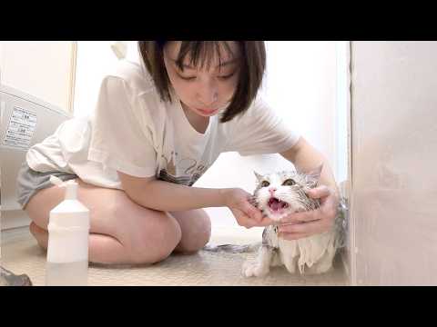 ママと苦手なお風呂に入った子猫！