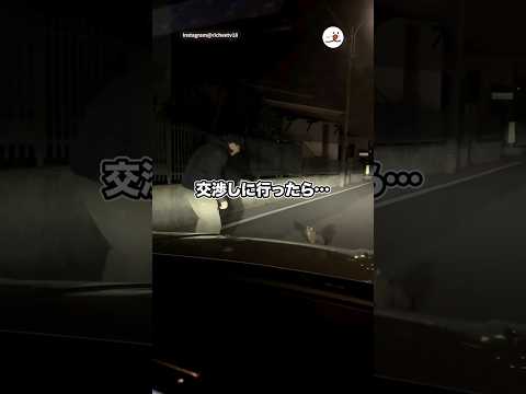 猫が道路を塞いでいたので…｜PECO