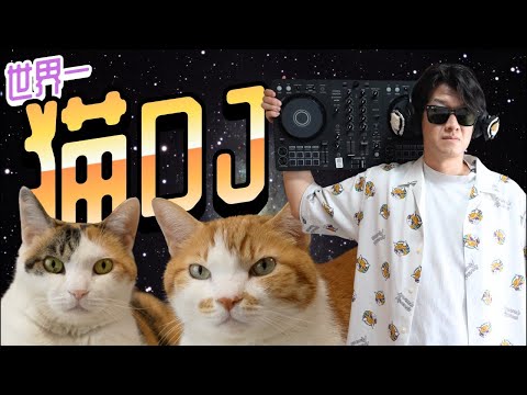 猫あるあるソング - もしぬこ がライブ配信中！ サムネイル