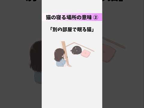 【猫の雑学】猫が寝る場所でわかる信頼度ランキング7選② 猫 雑学 豆知識 トリビア 音声「VOICEVOX:ずんだもん…