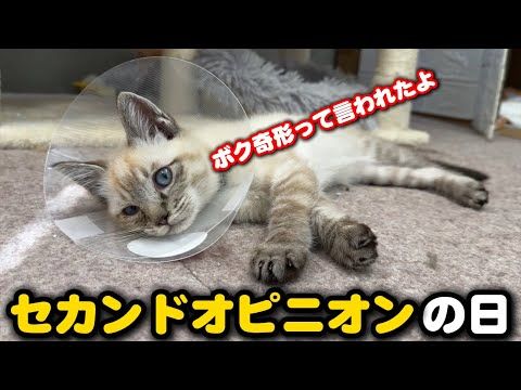 気になる胸の膨らみ…その診断結果とは