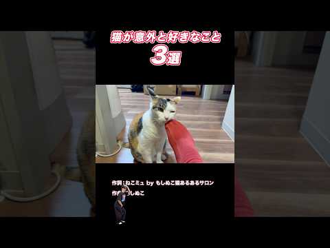 「猫が意外と好きなこと3選」猫あるある|フルMVはYouTubeで配信開始！ サムネイル