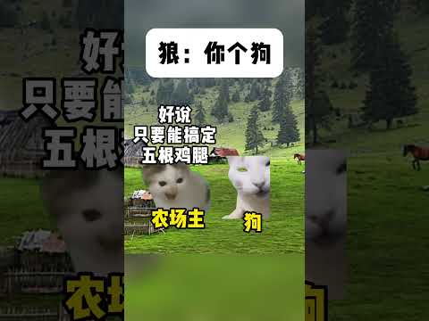 最新の猫ミーム集！思わず笑顔になる神回 サムネイル