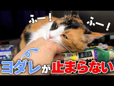 興奮した猫の口からドバドバとヨダレが垂れ流し状態になってしまいました…。 サムネイル