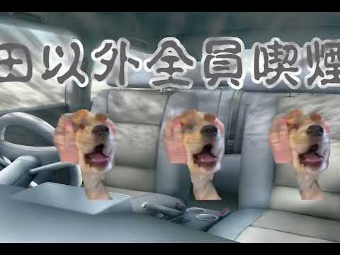【近況報告】慣れない肉体労働はやめた方がいい サムネイル