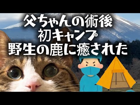 父ちゃん手術も無事に終わりキャンプへ サムネイル